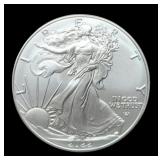 2022 Silver Eagle
