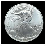 2021 T2 Silver Eagle