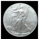 2022 Silver Eagle