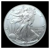 2022 Silver Eagle