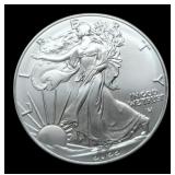 2022 Silver Eagle