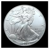 2022 Silver Eagle