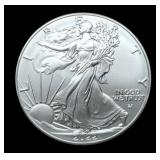 2022 Silver Eagle