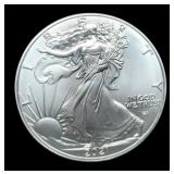 2021 T2 Silver Eagle