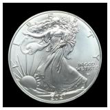 2021 T2 Silver Eagle