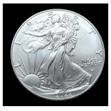 2022 Silver Eagle