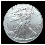 2022 Silver Eagle
