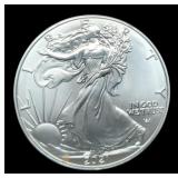 2021 T2 Silver Eagle