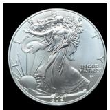 2021 T2 Silver Eagle