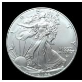2022 Silver Eagle