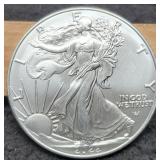 2022 Silver Eagle