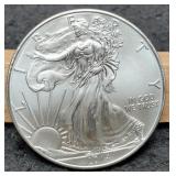 2014 Silver Eagle