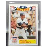 1987 Andre Dawson Baseball Card #18/22