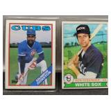 Shawon Duston & Don Kessinger Cards