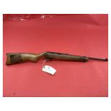 Ruger 10/22 .22 LR Rifle