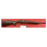 Ruger 10/22 .22 LR Rifle