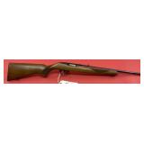 Ruger 10/22 .22 LR Rifle