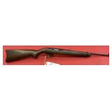 Ruger 10/22 .22 LR Rifle