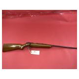 Remington 511 .22 SLLR Rifle