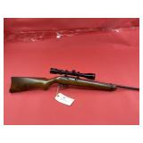 Ruger 10/22 .22 LR Rifle