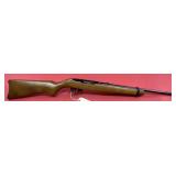 Ruger 10/22 .22 LR Rifle