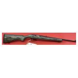 Ruger 10/22 .22 LR Rifle