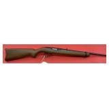 Ruger 10/22 .22 LR Rifle