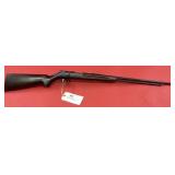 Remington 34 .22 SLLR Rifle