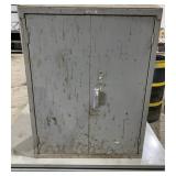 Lyon 2 Door Steel Wall Cabinet