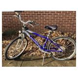 Schwinn Sierra Bicycle