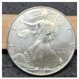 1996 Silver Eagle Key Date