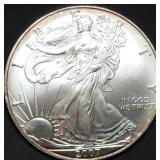 2007 1oz Silver Eagle Gem BU