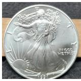 1991 Silver Eagle