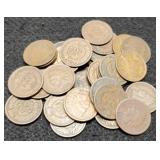 (30) Indian Head Cents Back To 1893