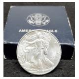 2013 Silver Eagle w/ Mint Case