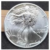 1990 Silver Eagle