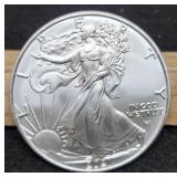 2021 T2 Silver Eagle