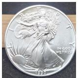 1990 Silver Eagle