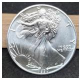 1990 Silver Eagle