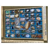 Polished Stones in Display Box