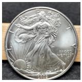 2009 Silver Eagle