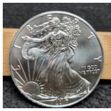 2017 Silver Eagle