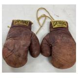 Everlast Boxing Gloves