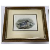 Framed Duck Print
