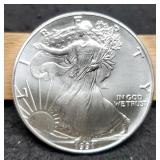 1991 Silver Eagle