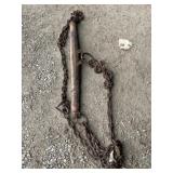 Single Tree with Log Chain