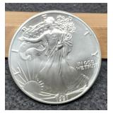 1991 Silver Eagle