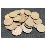 (30) Indian Head Cents Back To 1892