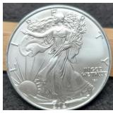 2021- T2 Silver Eagle