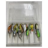 Baits in Plastic Box